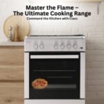 Gas Oven Venus Brand (60cmx60cm) (ምስ ቀረጹን መስደዲኡን) - Image 3